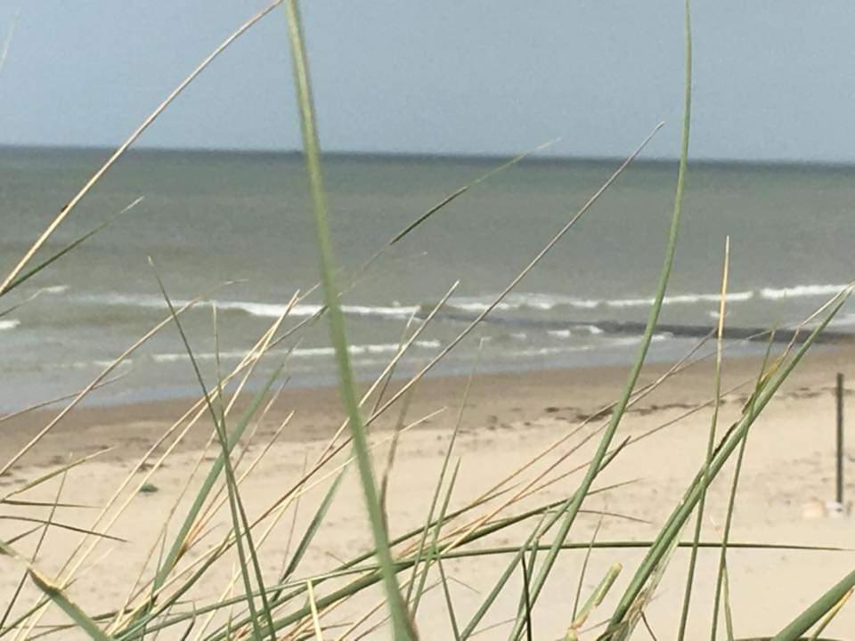 Luxe Vakantiechalet Met Omheinde Tuin Bredene 6Pers المظهر الخارجي الصورة